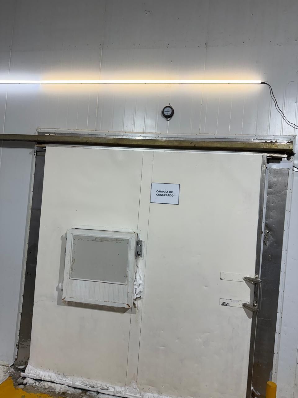 Imagen que contiene interior, sucio, peque�o, viejo

El contenido generado por IA puede ser incorrecto.
