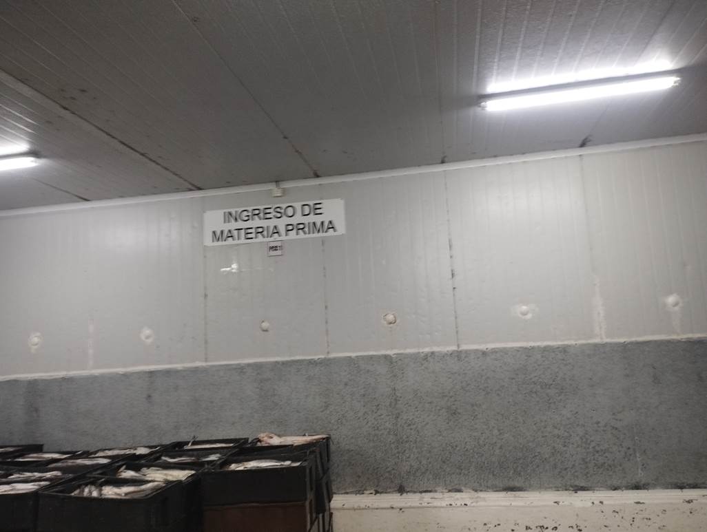 Imagen que contiene interior, techo, cocina, cuarto

El contenido generado por IA puede ser incorrecto.