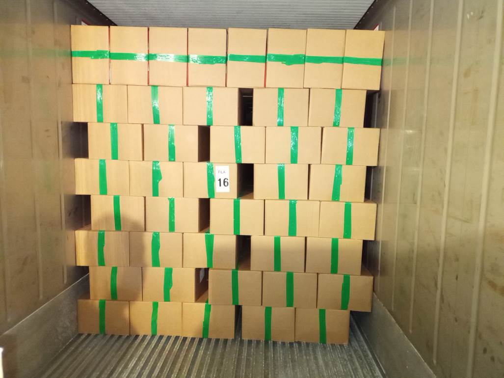 Imagen que contiene interior, verde, con baldosas, pequeño
Descripción generada automáticamente