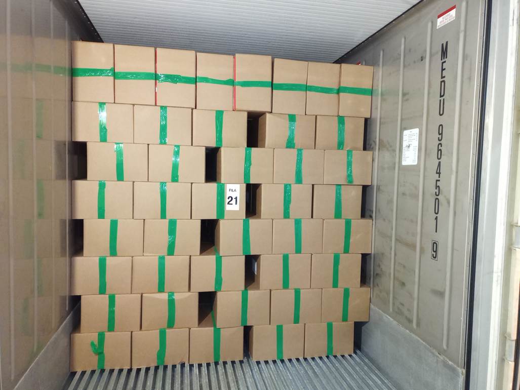 Imagen que contiene interior, con baldosas, verde, pequeño
Descripción generada automáticamente