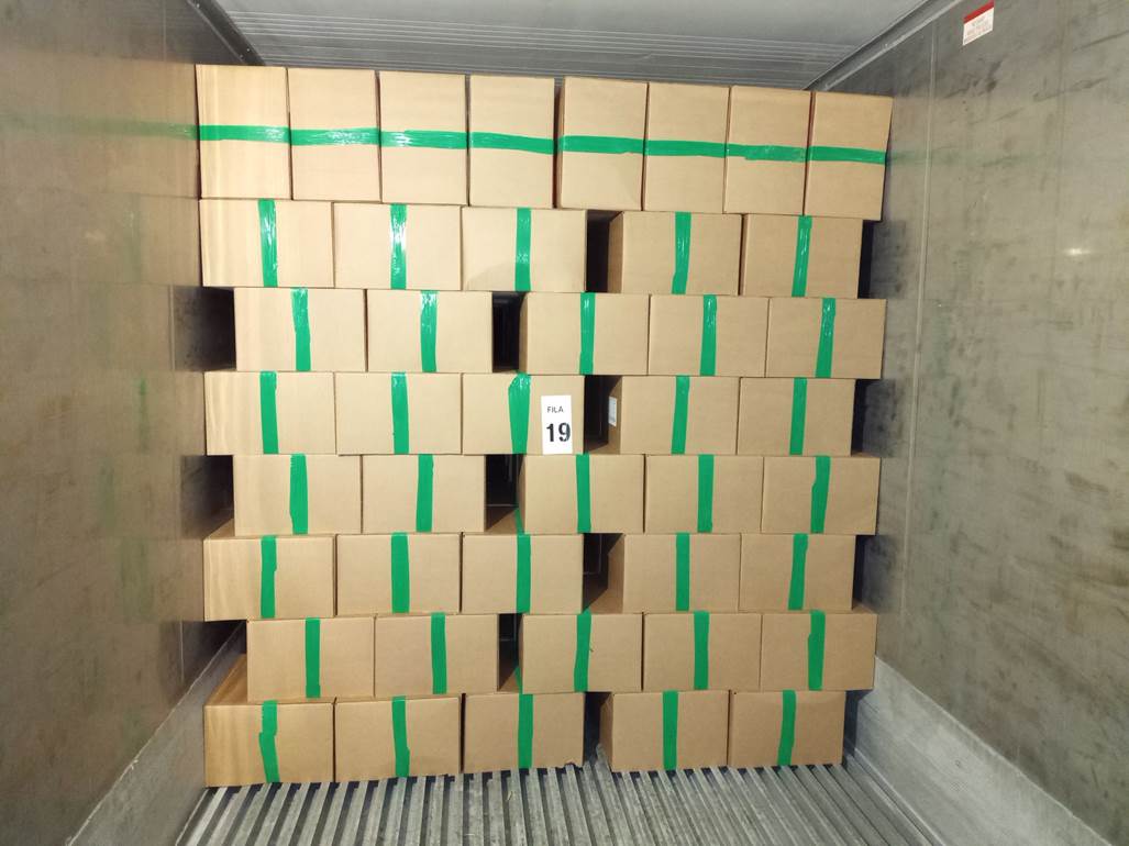 Imagen que contiene interior, con baldosas, azulejo, verde
Descripción generada automáticamente
