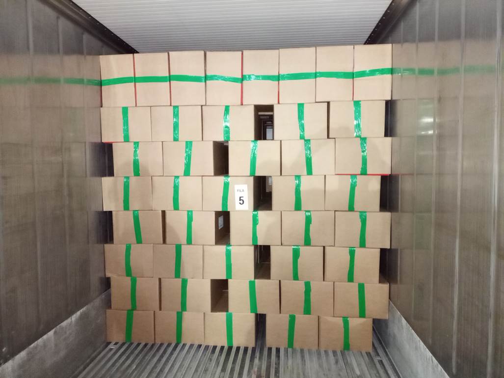 Imagen que contiene interior, con baldosas, verde, colorido
Descripción generada automáticamente