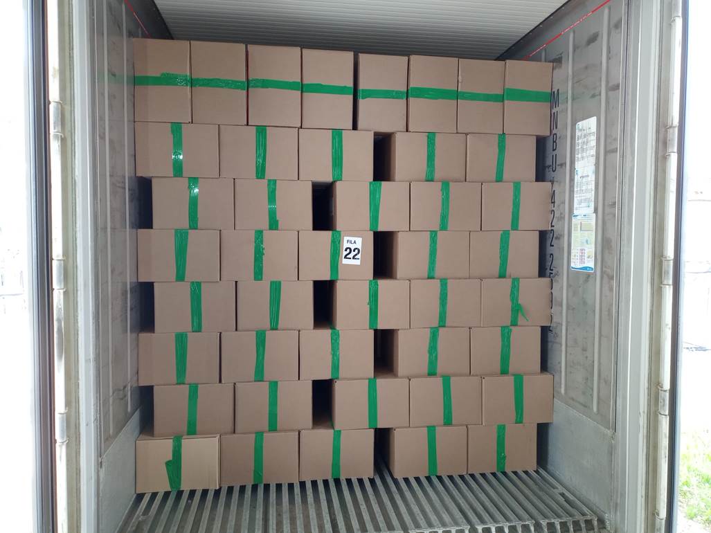 Imagen que contiene interior, con baldosas, verde, pequeño
Descripción generada automáticamente