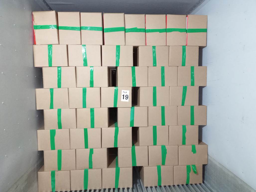 Imagen que contiene lego, verde, niño, colorido
Descripción generada automáticamente