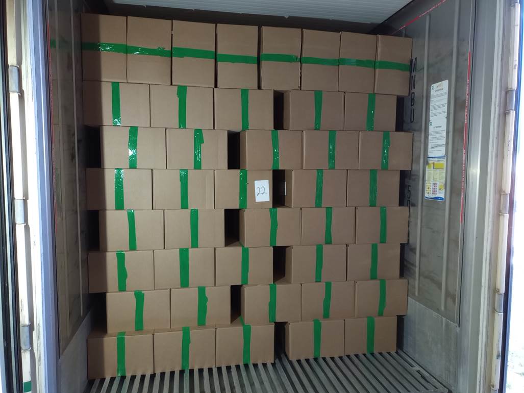 Imagen que contiene interior, verde, con baldosas, pequeño
Descripción generada automáticamente