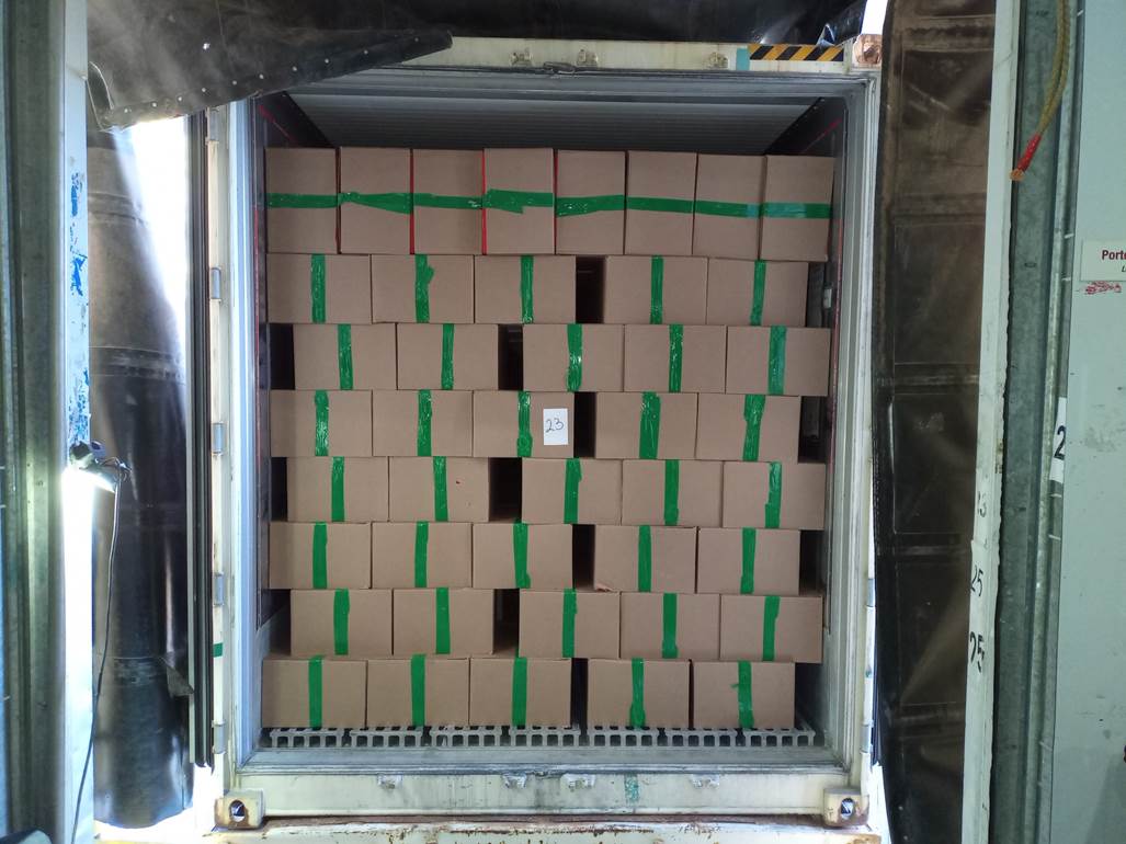 Imagen que contiene verde, puerta, abrir, pequeño
Descripción generada automáticamente