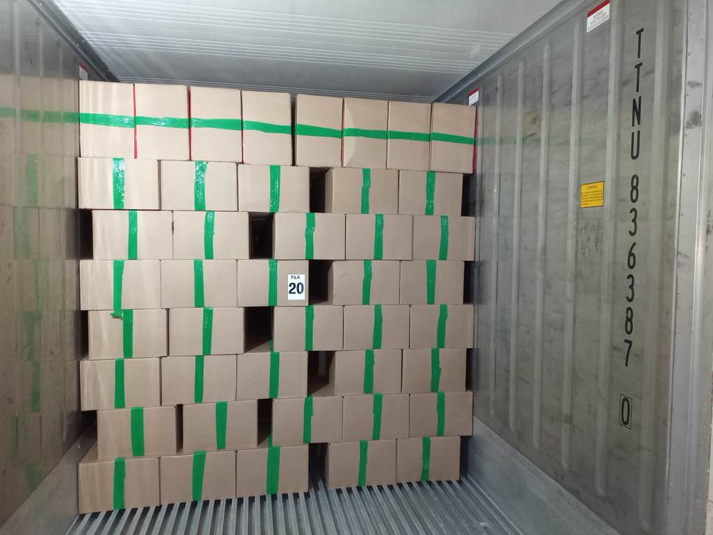 Imagen que contiene interior, verde, con baldosas, pequeño
Descripción generada automáticamente