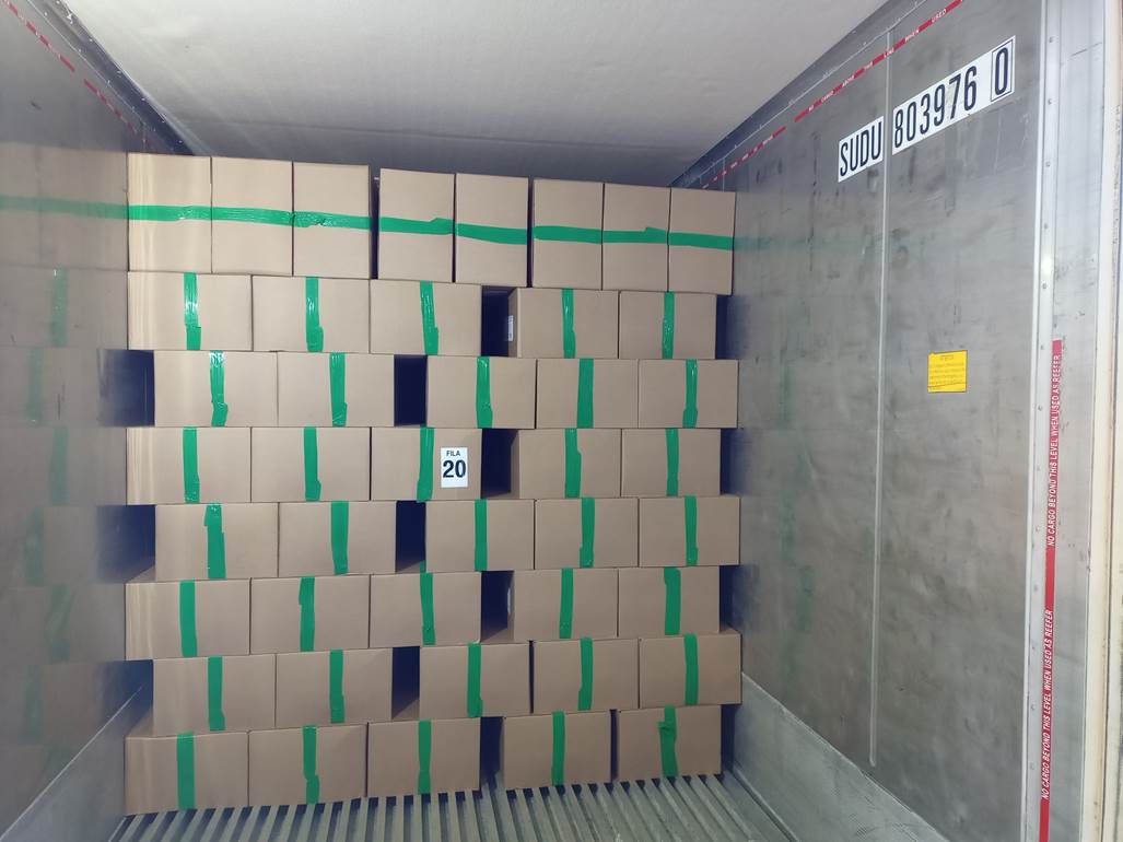Imagen que contiene interior, con baldosas, verde, azulejo

Descripci�n generada autom�ticamente
