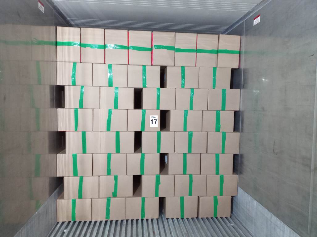 Imagen que contiene interior, con baldosas, verde, azulejo

Descripci�n generada autom�ticamente