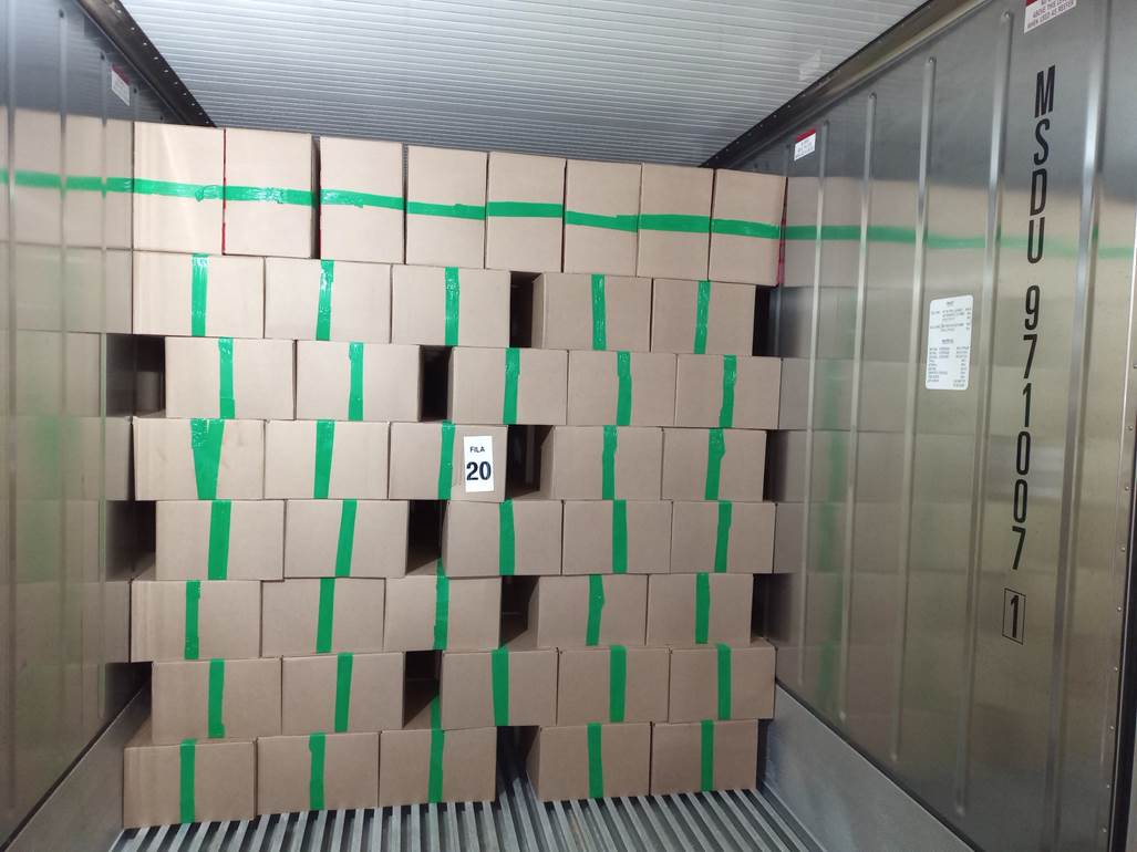 Imagen que contiene interior, con baldosas, azulejo, verde
Descripción generada automáticamente
