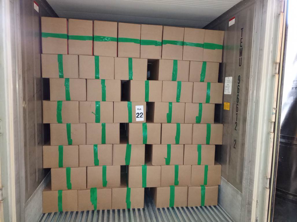 Imagen que contiene interior, verde, pequeño, con baldosas
Descripción generada automáticamente