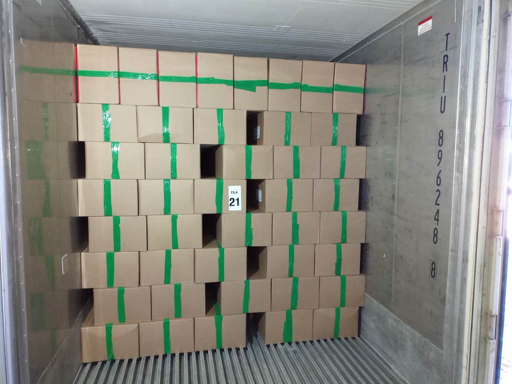 Imagen que contiene interior, verde, pequeño, con baldosas
El contenido generado por IA puede ser incorrecto.