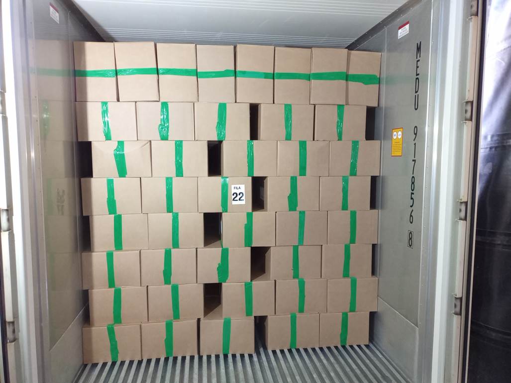 Imagen que contiene interior, edificio, pequeño, verde
El contenido generado por IA puede ser incorrecto.
