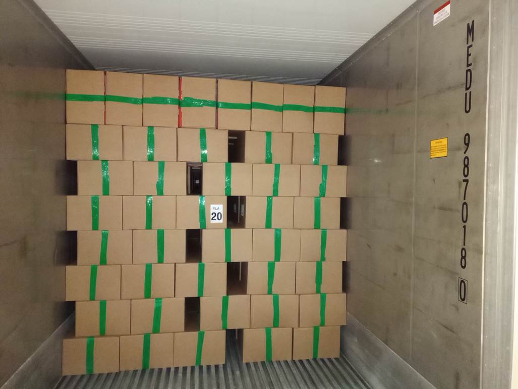 Imagen que contiene interior, verde, con baldosas, peque�o

El contenido generado por IA puede ser incorrecto.