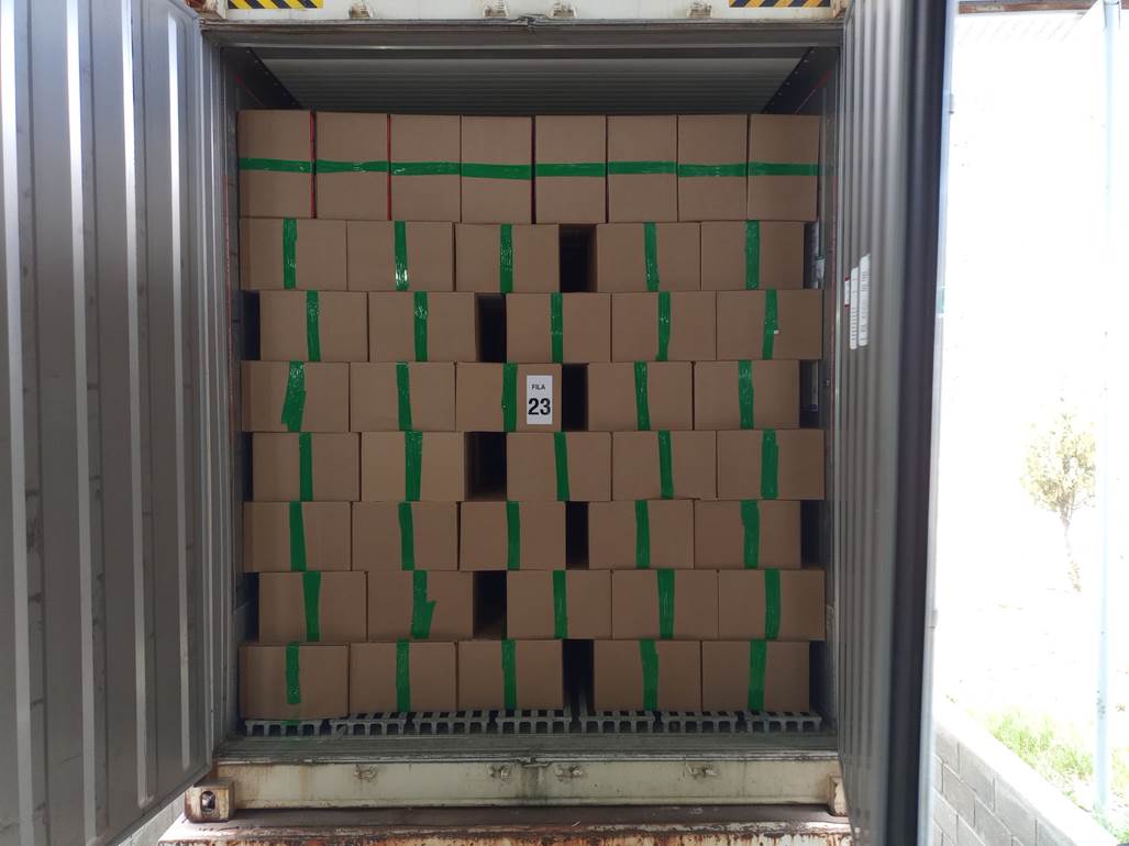 Imagen que contiene verde, interior, ventana, edificio

El contenido generado por IA puede ser incorrecto.
