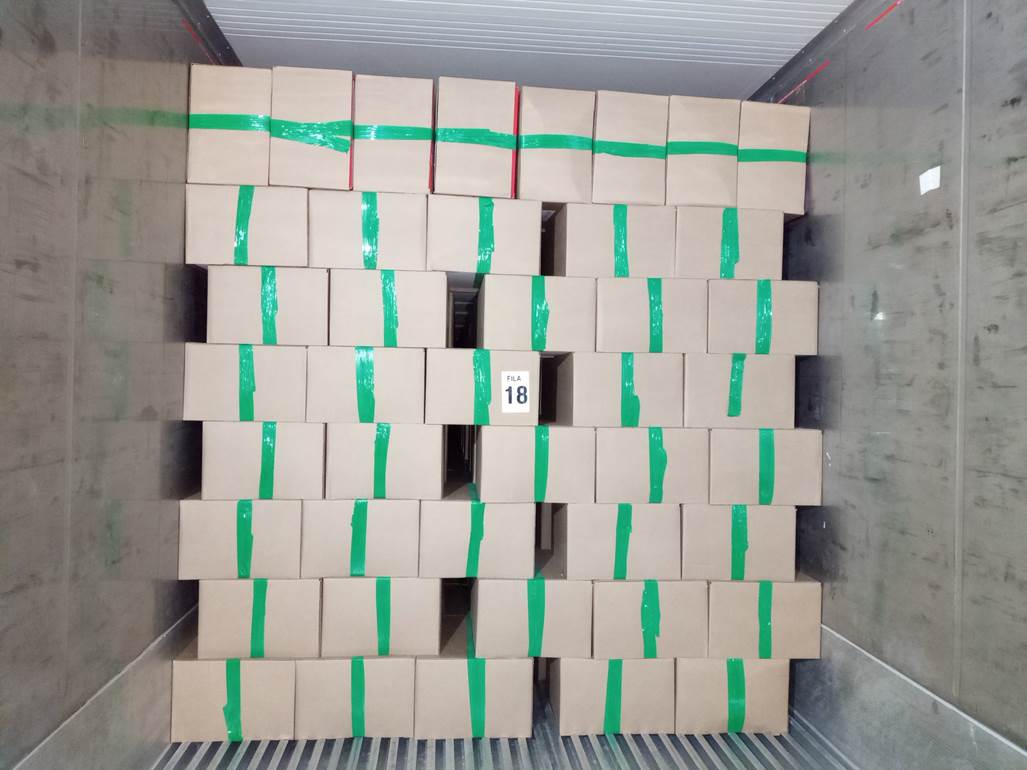 Imagen que contiene lego, con baldosas, azulejo, verde

El contenido generado por IA puede ser incorrecto.