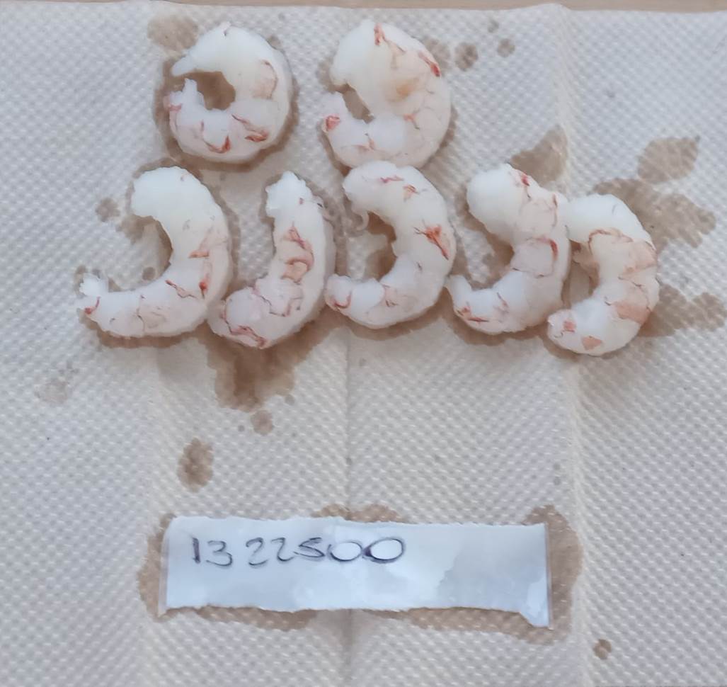 Imagen que contiene tabla, comida, pastel, llenado
El contenido generado por IA puede ser incorrecto.