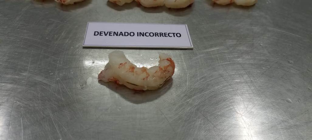 Imagen que contiene interior, comida, rosquilla, dona
El contenido generado por IA puede ser incorrecto.